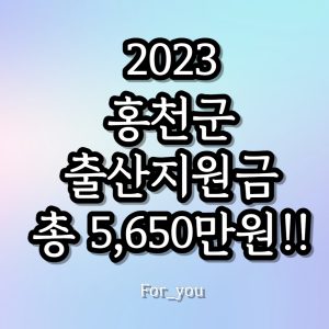 2023 홍천군 출산지원금