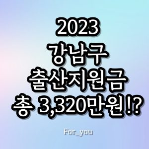 2023 강남구 출산지원금