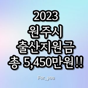 2023 원주시 출산지원금