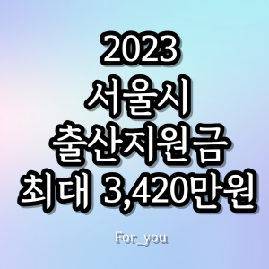 2023 서울시 출산지원금